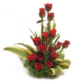 pure-love-roses